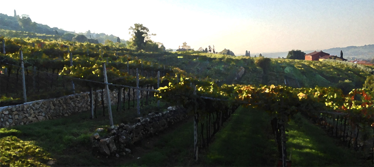 The Valpolicella Wine Region